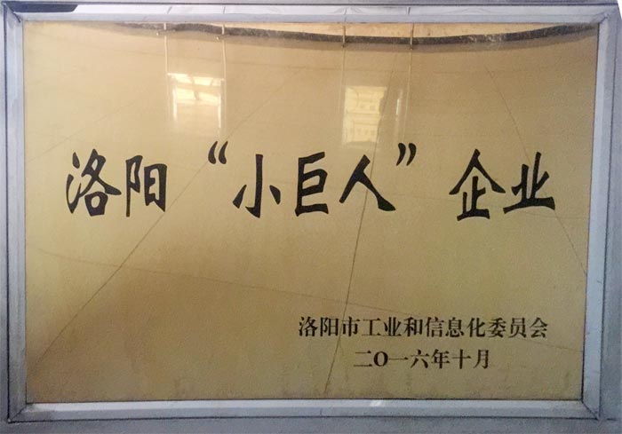 洛陽“小巨人”企業(yè)